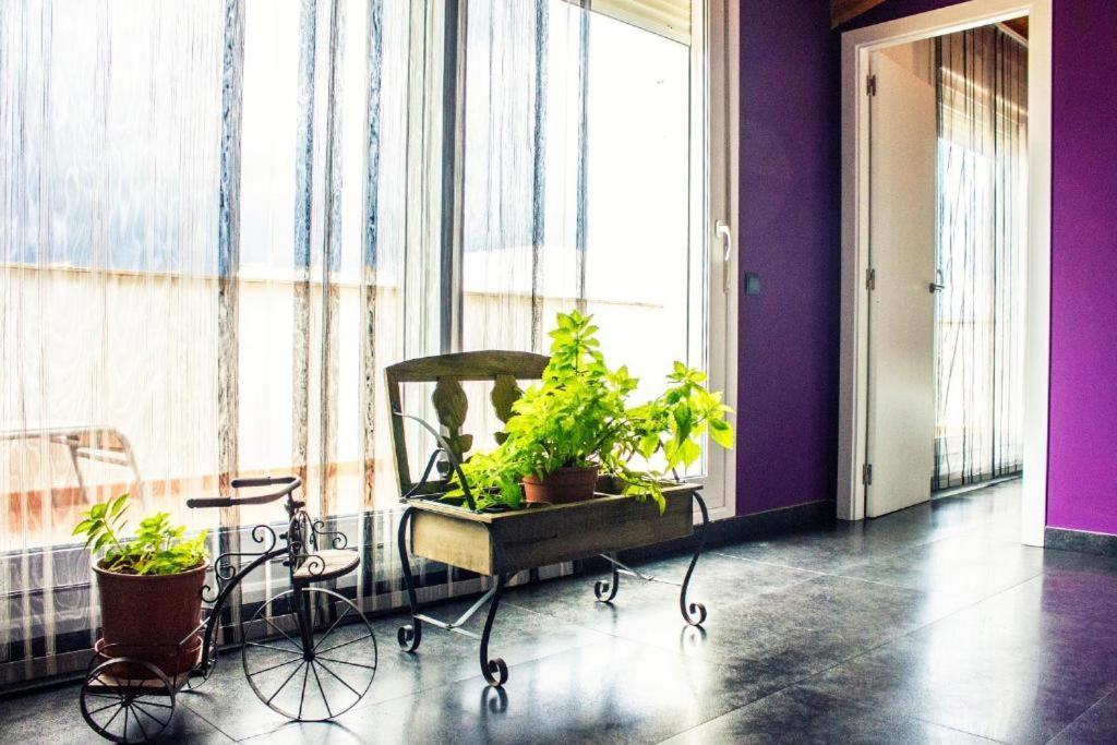 Apartamento Con Estilo Y Acogedor Sant Mateu Kültér fotó